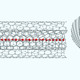 Image by Lei Shi/Faculty of Physics, University of Vienna